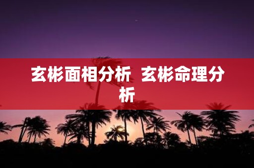 玄彬面相分析 玄彬命理分析