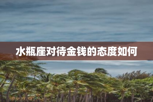 水瓶座对待金钱的态度如何