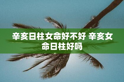 辛亥日柱女命好不好 辛亥女命日柱好吗