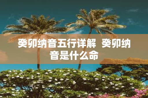 癸卯纳音五行详解 癸卯纳音是什么命