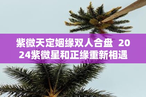 紫微天定姻缘双人合盘 2025紫微星和正缘重新相遇