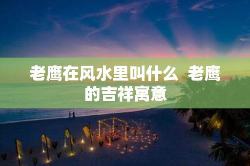 老鹰在风水里叫什么 老鹰的吉祥寓意