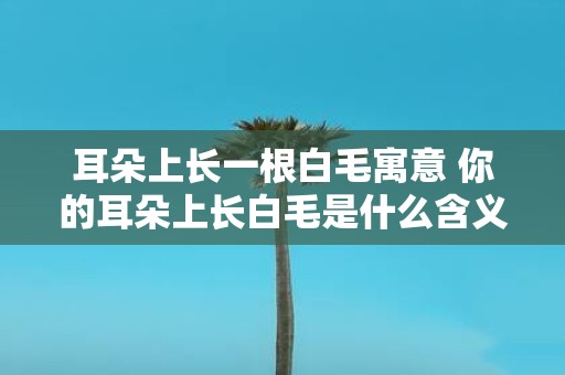 耳朵上长一根白毛寓意 你的耳朵上长白毛是什么含义