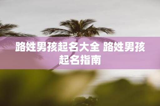 路姓男孩起名大全 路姓男孩起名指南
