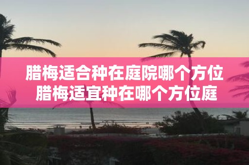 腊梅适合种在庭院哪个方位 腊梅适宜种在哪个方位庭院
