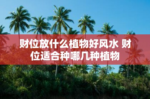 财位放什么植物好风水 财位适合种哪几种植物