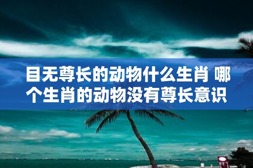 目无尊长的动物什么生肖 哪个生肖的动物没有尊长意识