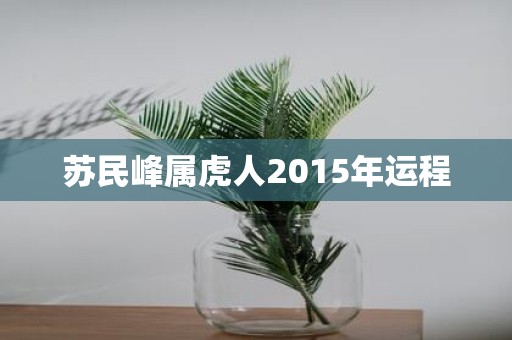 苏民峰属虎人2015年运程