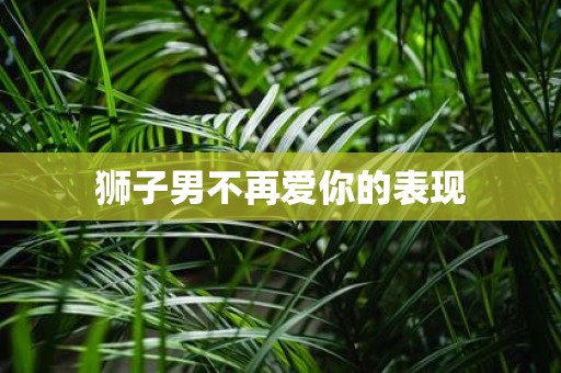 狮子男不再爱你的表现