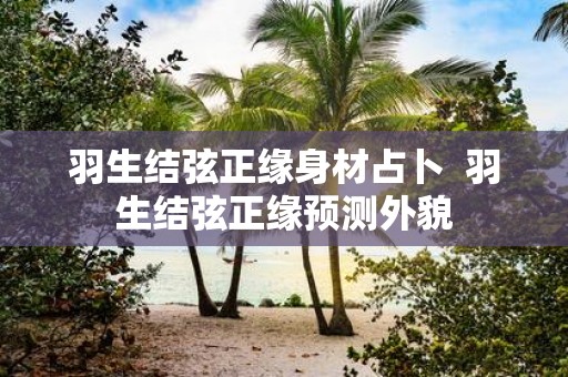 羽生结弦正缘身材占卜 羽生结弦正缘预测外貌