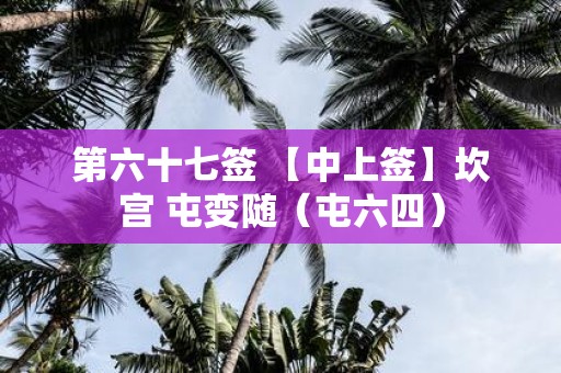 第六十七签 【中上签】坎宫 屯变随（屯六四）