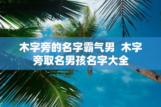 木字旁的名字霸气男 木字旁取名男孩名字大全