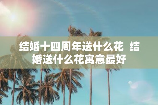 结婚十四周年送什么花 结婚送什么花寓意最好