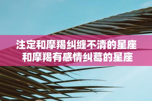 注定和摩羯纠缠不清的星座 和摩羯有感情纠葛的星座