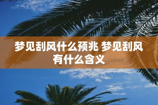 梦见刮风什么预兆 梦见刮风有什么含义