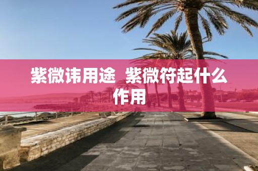紫微讳用途 紫微符起什么作用