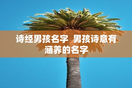 诗经男孩名字 男孩诗意有涵养的名字