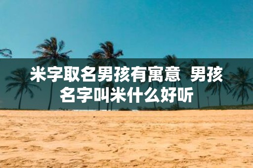 米字取名男孩有寓意 男孩名字叫米什么好听