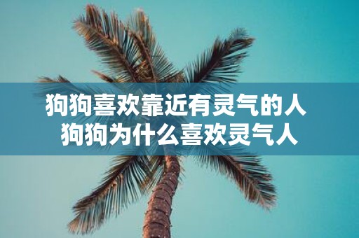 狗狗喜欢靠近有灵气的人 狗狗为什么喜欢灵气人