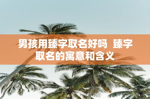 男孩用臻字取名好吗 臻字取名的寓意和含义