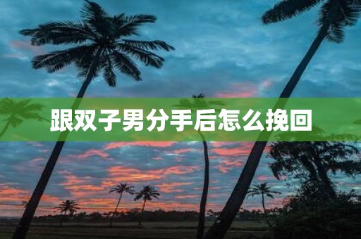 跟双子男分手后怎么挽回