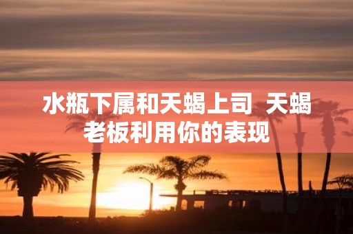 水瓶下属和天蝎上司 天蝎老板利用你的表现
