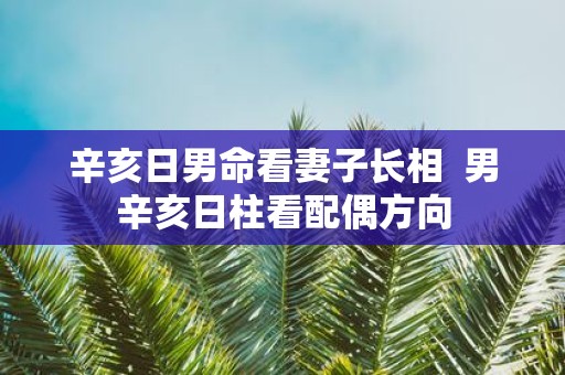 辛亥日男命看妻子长相 男辛亥日柱看配偶方向