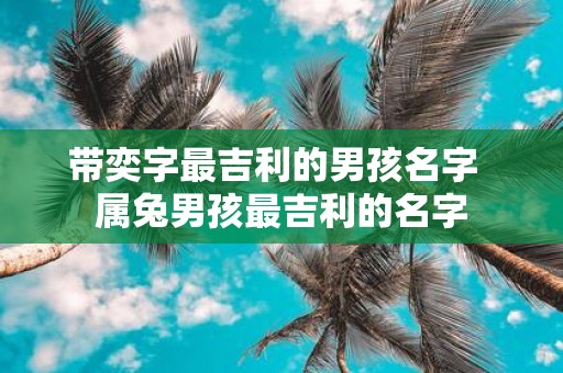 带奕字最吉利的男孩名字 属兔男孩最吉利的名字