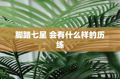 脚踏七星 会有什么样的历练
