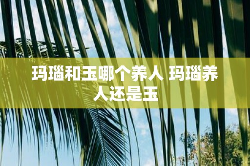 玛瑙和玉哪个养人 玛瑙养人还是玉