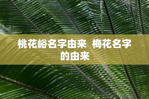 桃花峪名字由来 梅花名字的由来