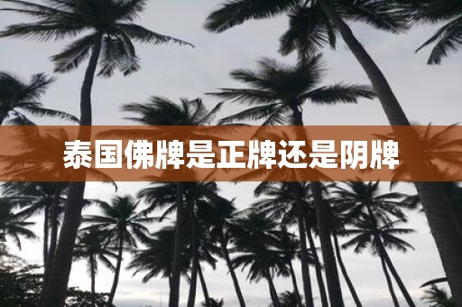 泰国佛牌是正牌还是阴牌