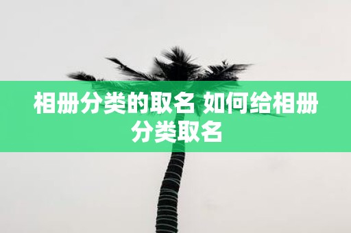 相册分类的取名 如何给相册分类取名