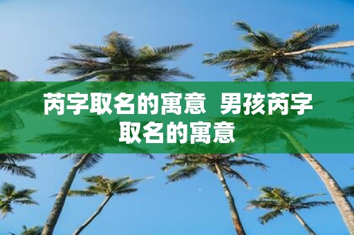 芮字取名的寓意 男孩芮字取名的寓意