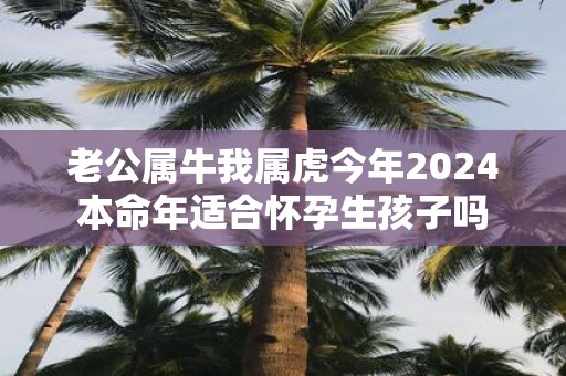 老公属牛我属虎今年2025本命年适合怀孕生孩子吗