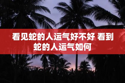 看见蛇的人运气好不好 看到蛇的人运气如何