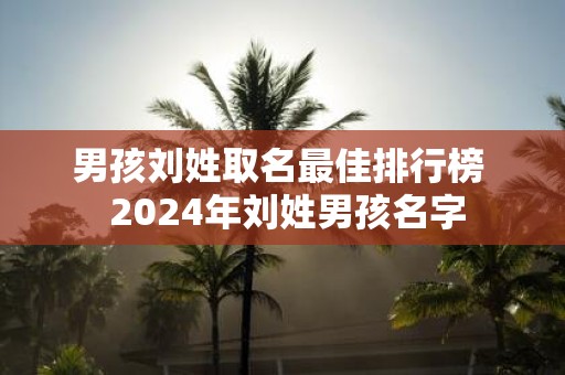 男孩刘姓取名最佳排行榜 2025年刘姓男孩名字