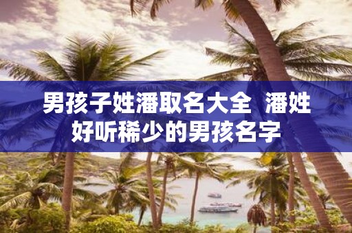 男孩子姓潘取名大全 潘姓好听稀少的男孩名字