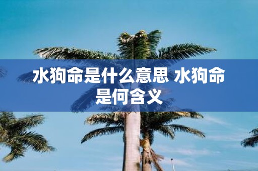 水狗命是什么意思 水狗命是何含义