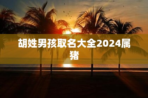胡姓男孩取名大全2025属猪