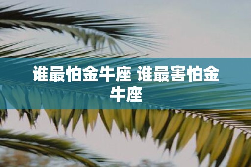 谁最怕金牛座 谁最害怕金牛座