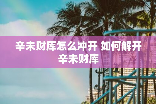 辛未财库怎么冲开 如何解开辛未财库