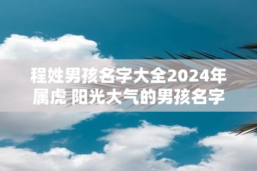 程姓男孩名字大全2025年属虎 阳光大气的男孩名字