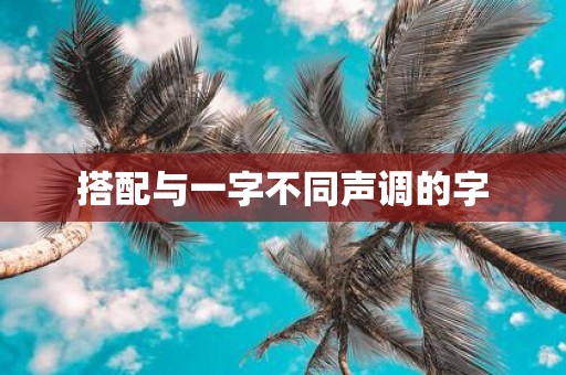 搭配与一字不同声调的字