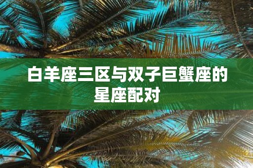 白羊座三区与双子巨蟹座的星座配对