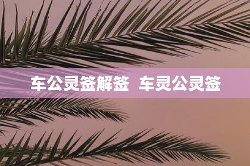 车公灵签解签 车灵公灵签