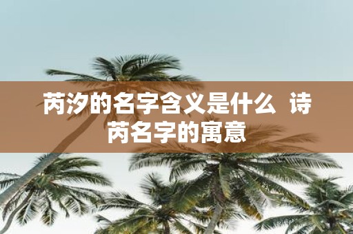 芮汐的名字含义是什么 诗芮名字的寓意