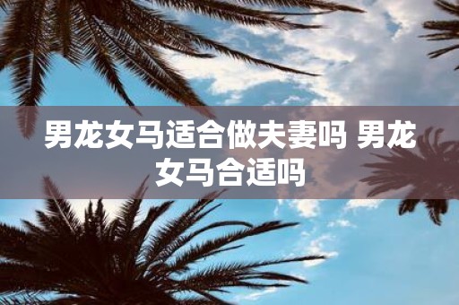 男龙女马适合做夫妻吗 男龙女马合适吗