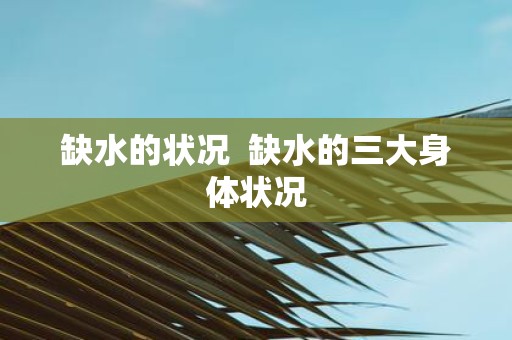 缺水的状况 缺水的三大身体状况