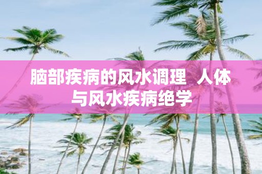 脑部疾病的风水调理 人体与风水疾病绝学